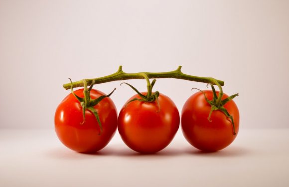 A Dieta do Tomate